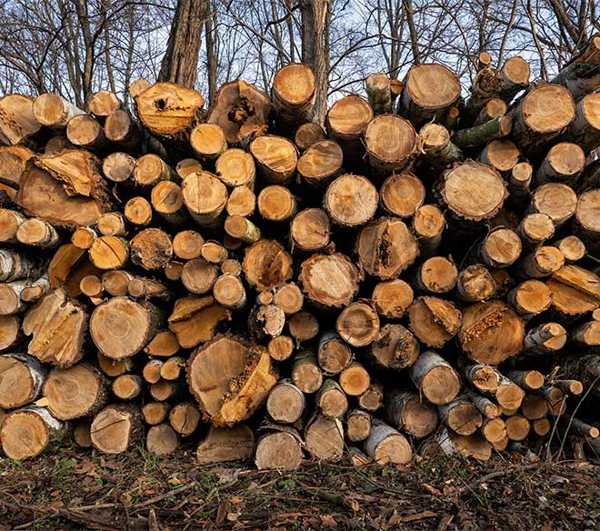 Brennholzverkauf Brennholzverkauf